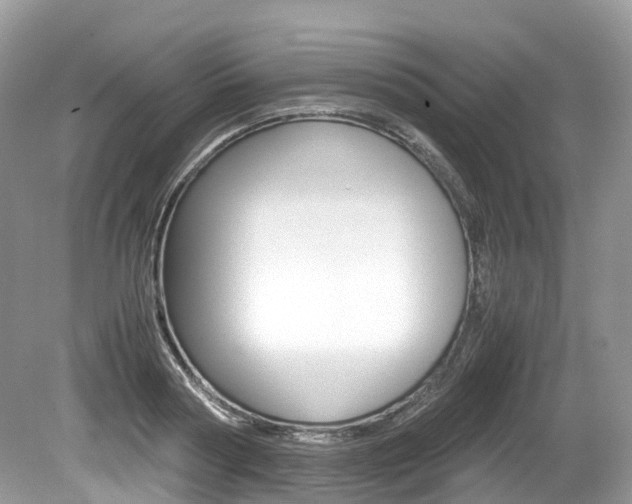 X0000080190794200612081159
