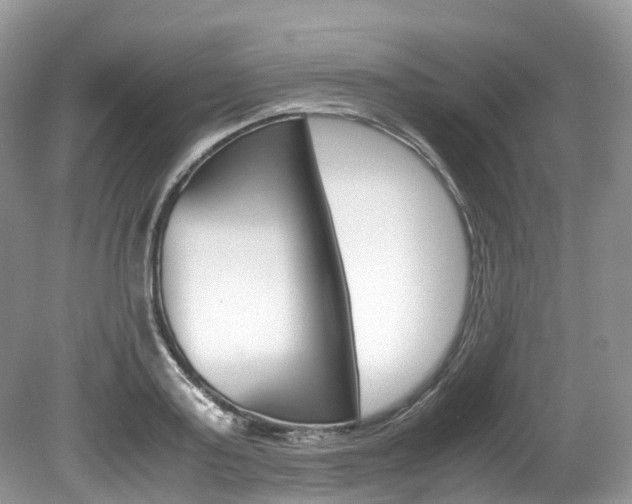 X0000080190795200612081159