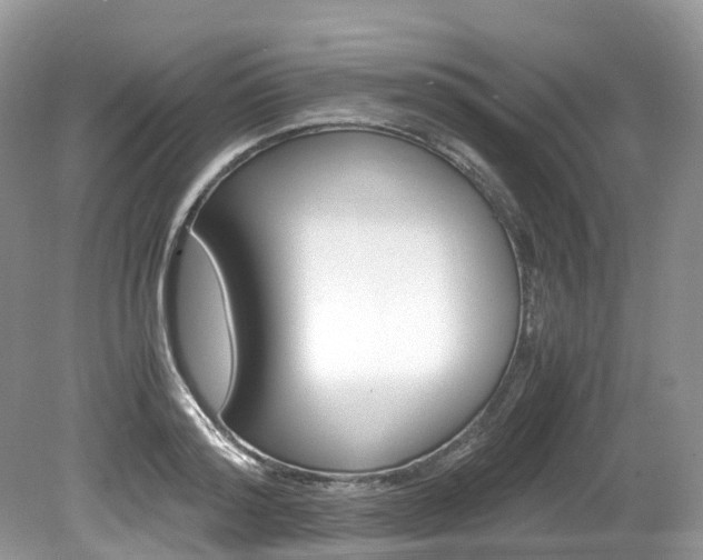 X0000080190796200612081158