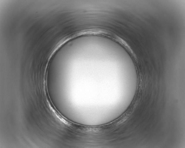 X0000080190802200612081158