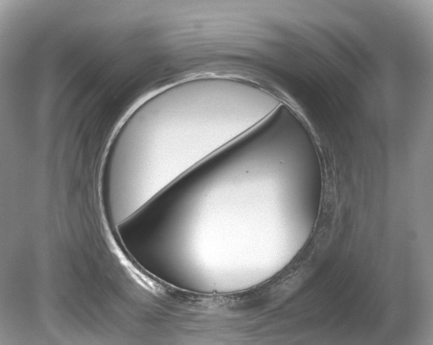 X0000080190803200612081158