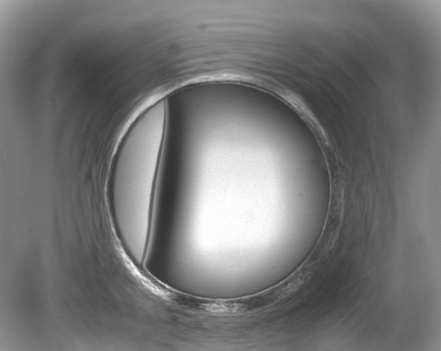 X0000080190805200612081158