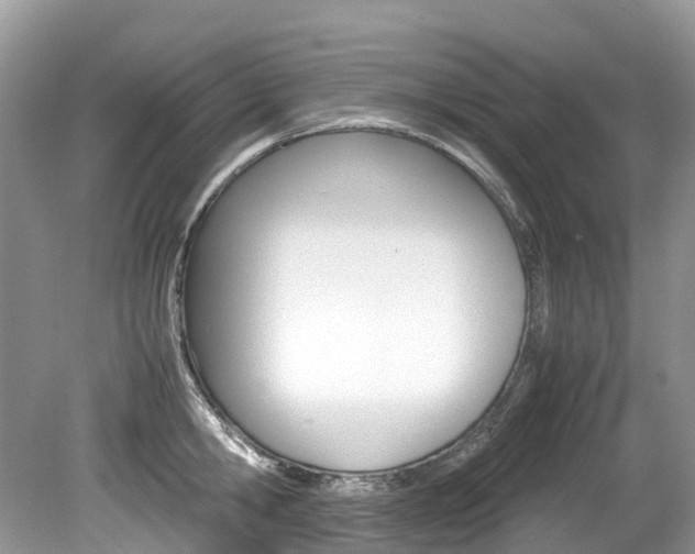 X0000080190806200612081158