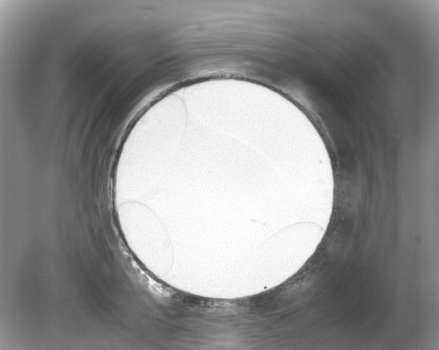 X0000080190807200612081158