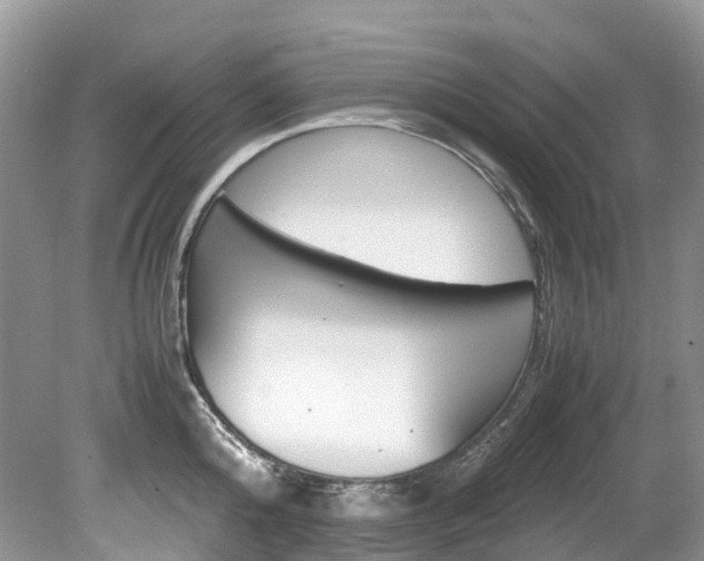 X0000080190808200612081158