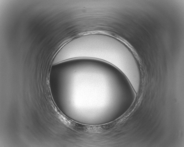 X0000080190809200612081158