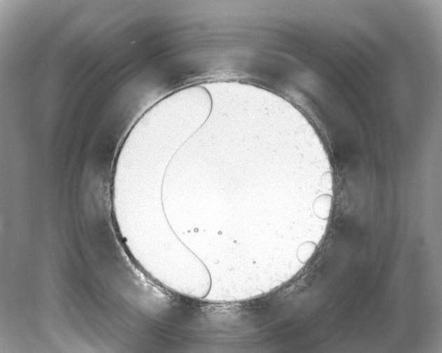 X0000080190810200612081158