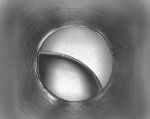 X0000080190812200612081158