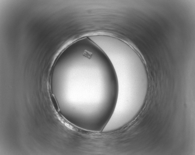 X0000080190813200612081158