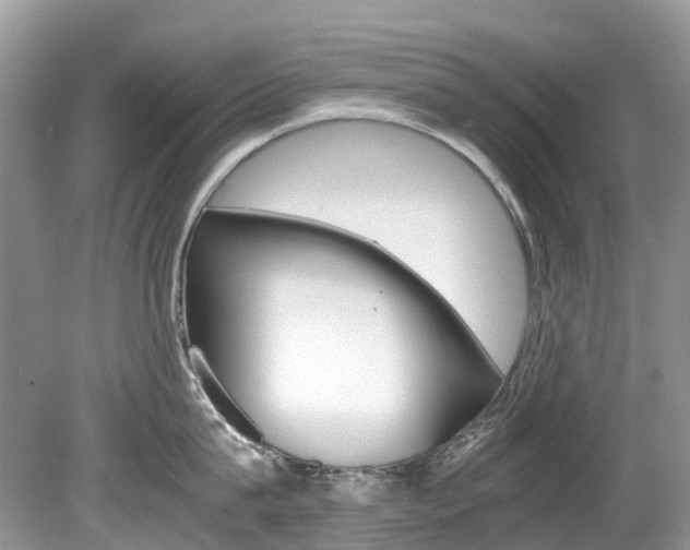 X0000080190815200612081158