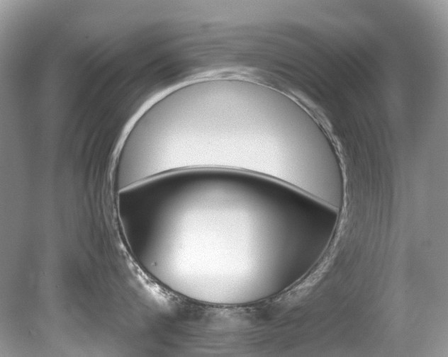 X0000080190816200612081158