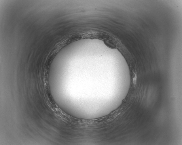 X0000080190819200612081157
