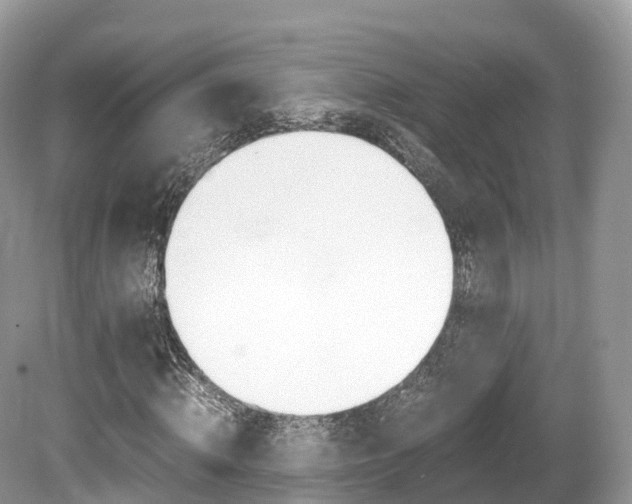 X0000080190820200612081157