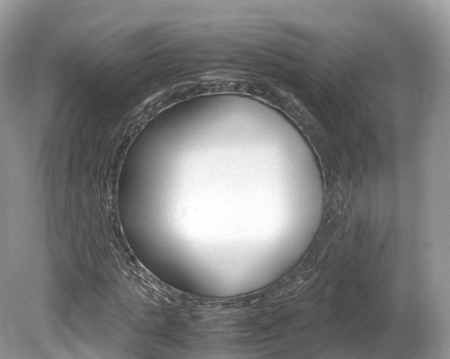 X0000080190821200612081157
