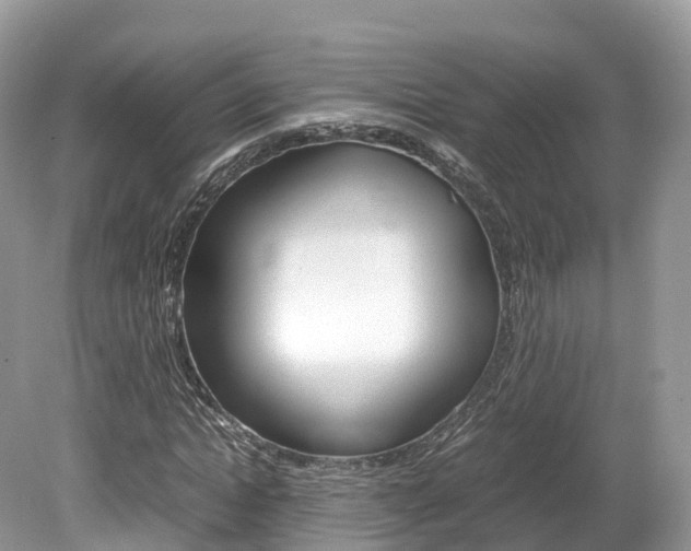 X0000080190822200612081157