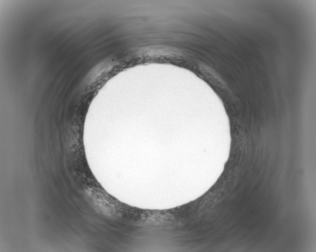 X0000080190824200612081157