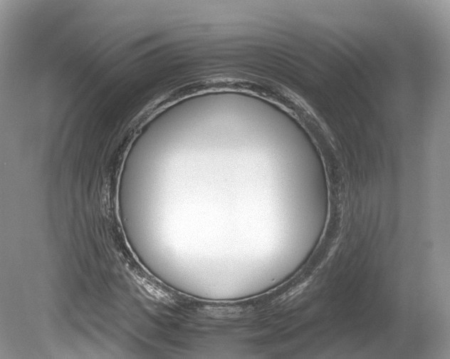 X0000080190825200612081157