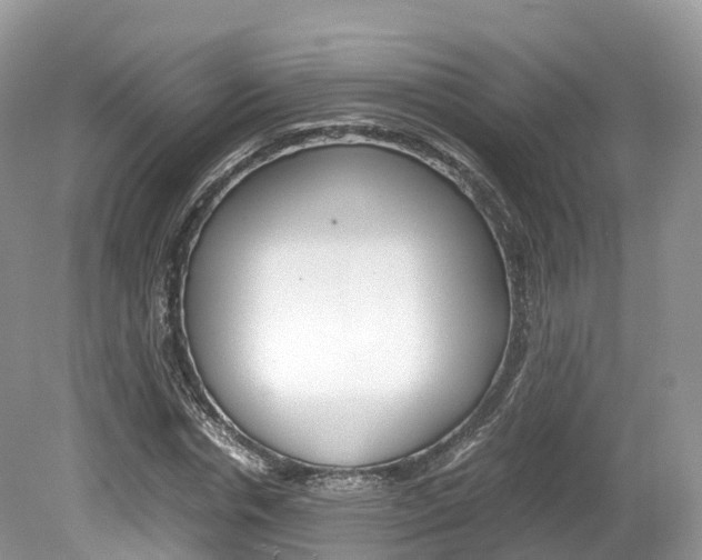 X0000080190826200612081158