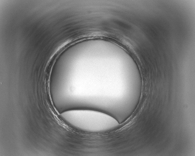 X0000080190827200612081158