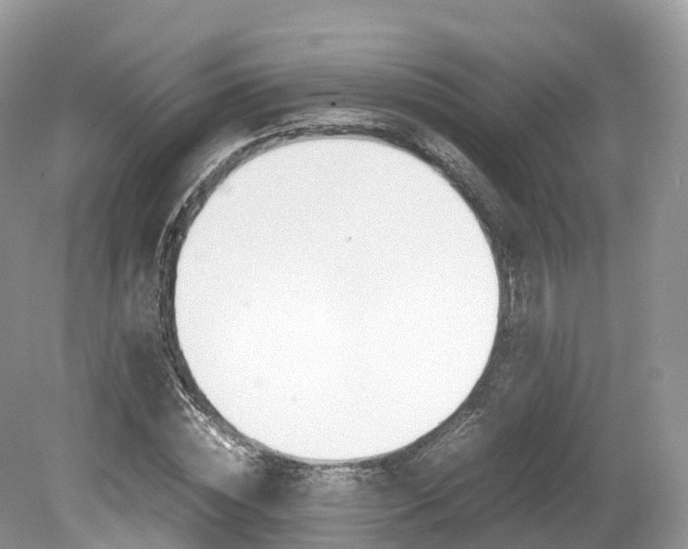 X0000080190828200612081158