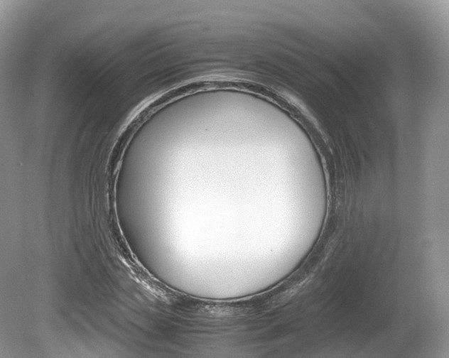 X0000080190829200612081158