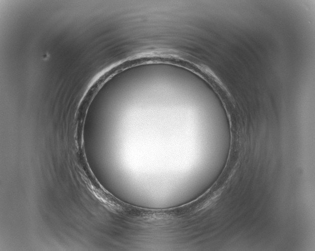 X0000080190830200612081158