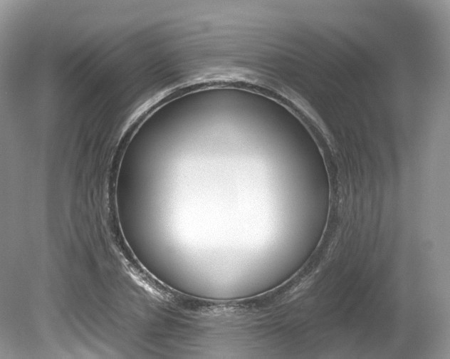 X0000080190834200612081158
