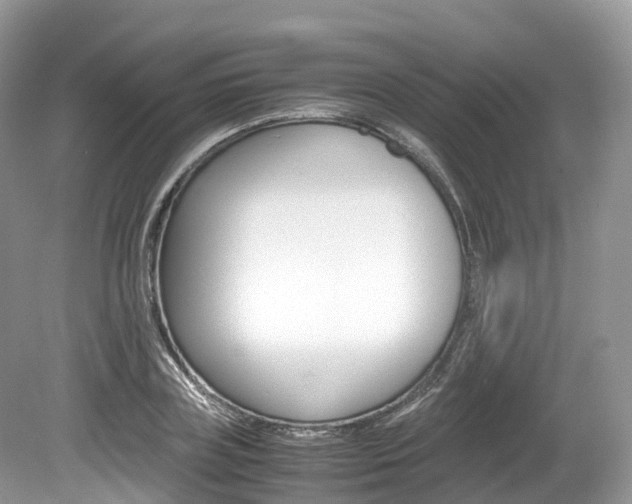 X0000080190835200612081158