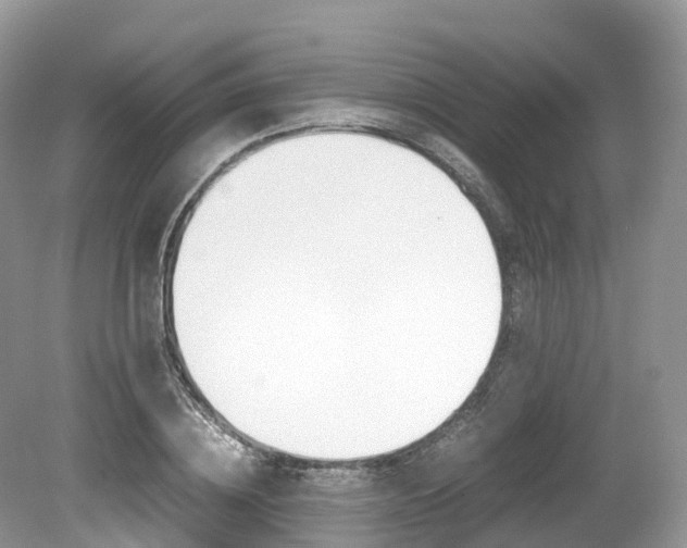 X0000080190836200612081158