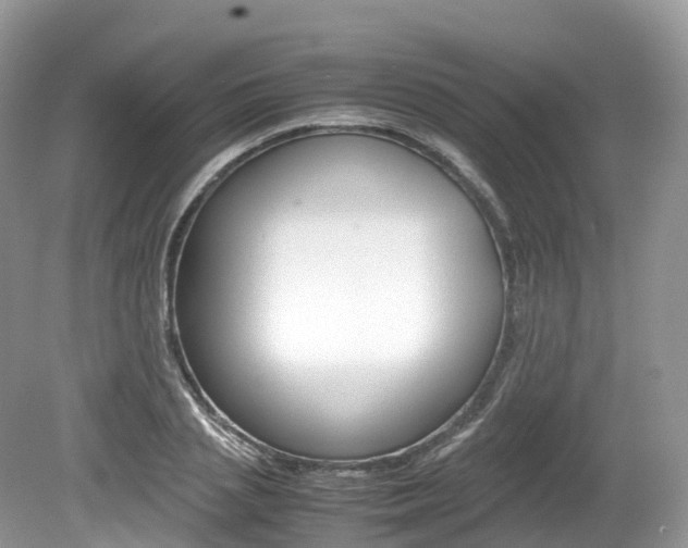 X0000080190837200612081158