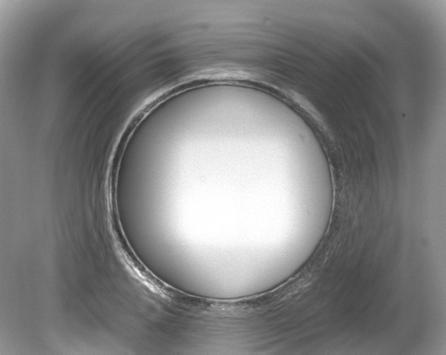 X0000080190840200612081158