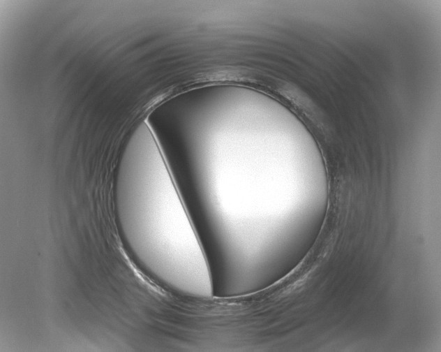 X0000080190841200612081158