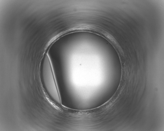 X0000080190842200612081158