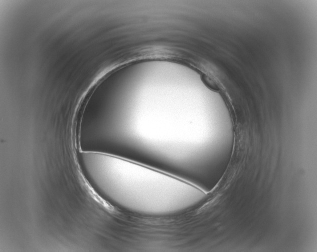 X0000080190843200612081158