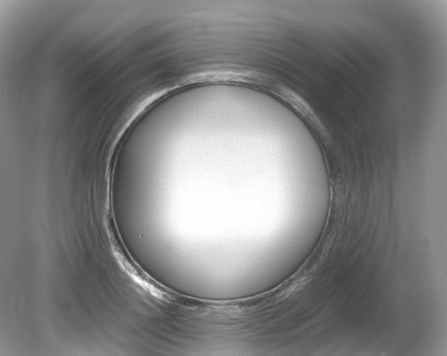 X0000080190844200612081158