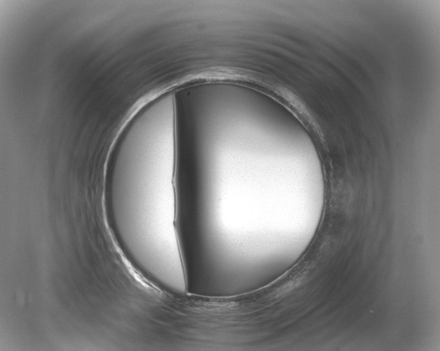 X0000080190845200612081158