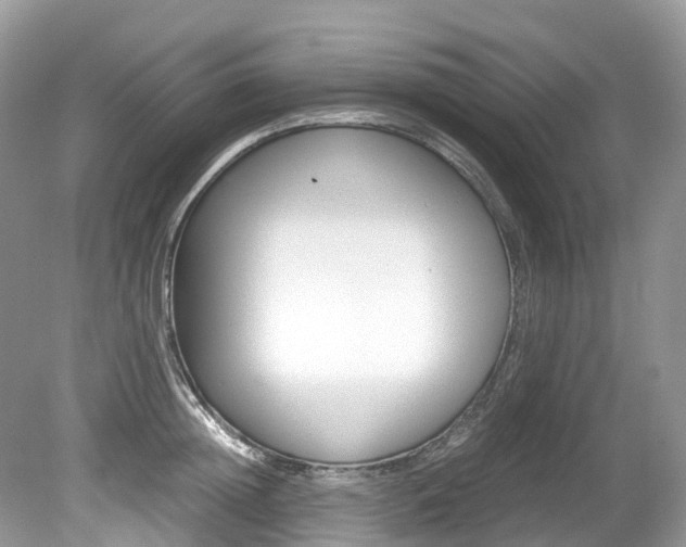 X0000080190852200612081158