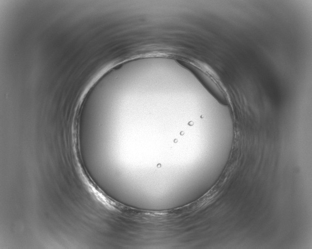 X0000080190859200612081158
