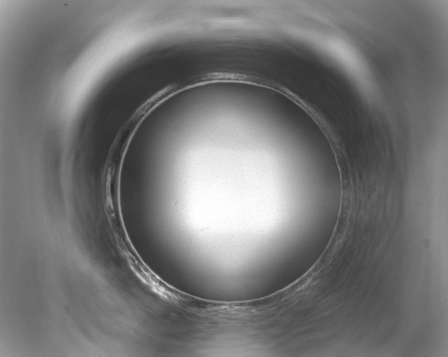 X0000080190862200612081158