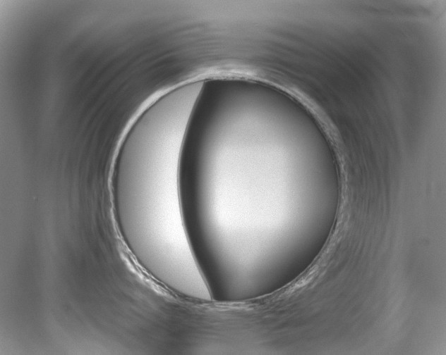 X0000080190864200612081158