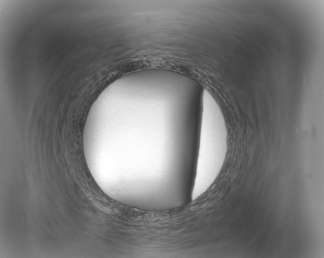 X0000080190865200612081157