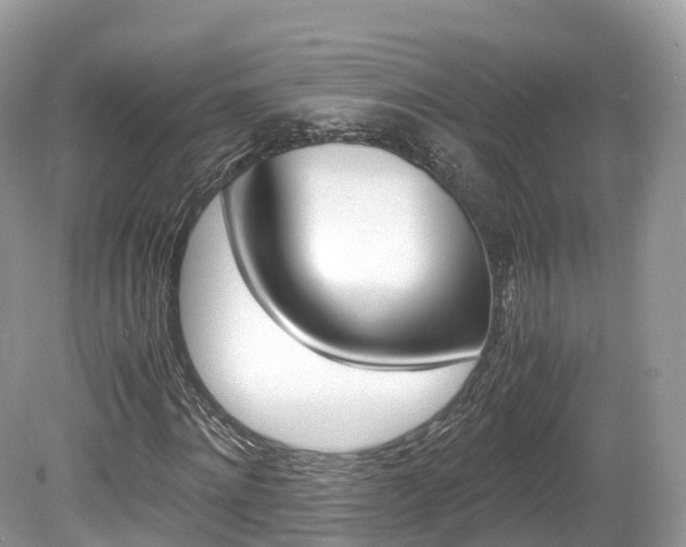 X0000080190868200612081157