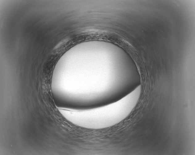 X0000080190869200612081157