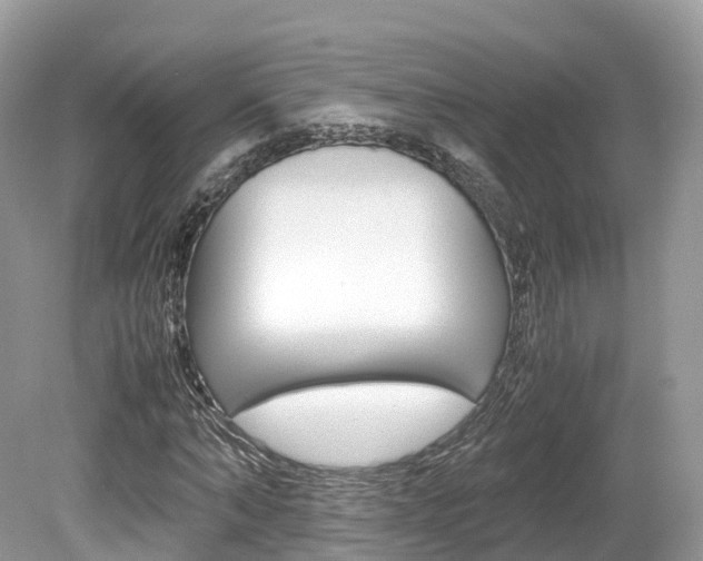X0000080190870200612081157