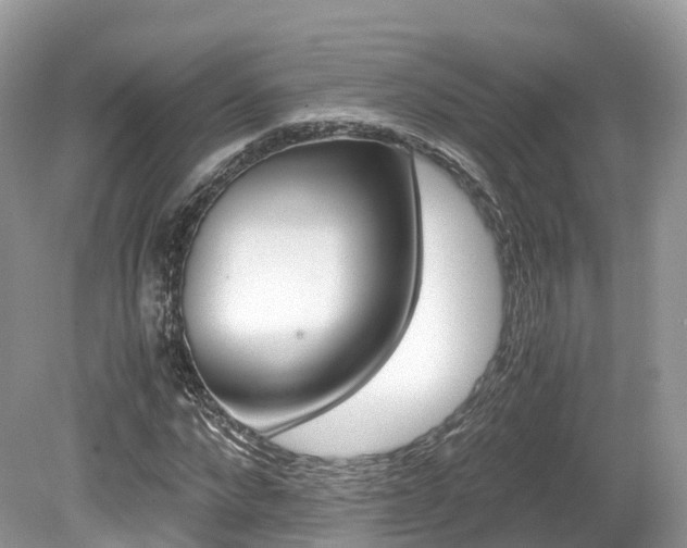 X0000080190872200612081157