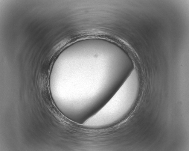 X0000080190873200612081157