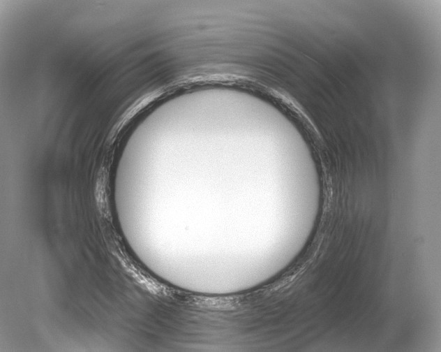 X0000080190874200612081157