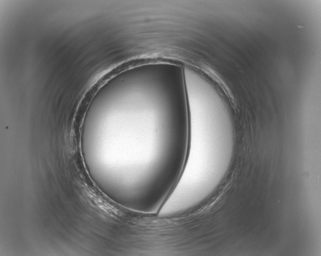 X0000080190876200612081157