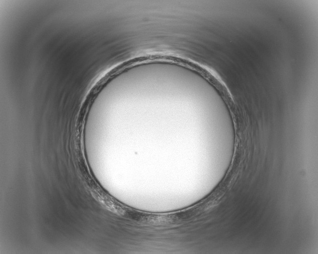 X0000080190879200612081157