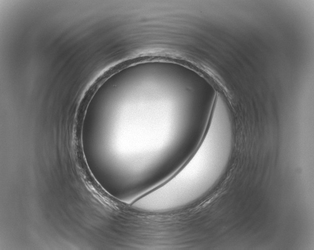 X0000080190880200612081157
